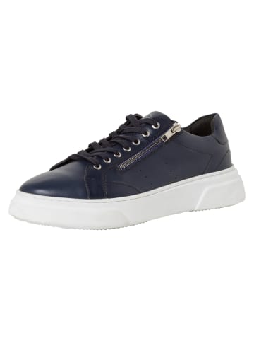 Marco Tozzi BY GUIDO MARIA KRETSCHMER Sneaker in NAVY