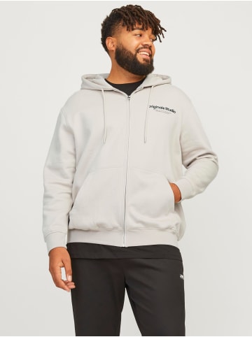 JACK & JONES PLUS Kapuzenjacke in Moonbeam