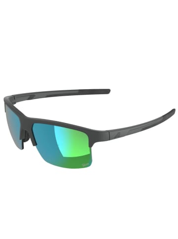 Alpina Sonnenbrille Eagle Q-Lite in grau