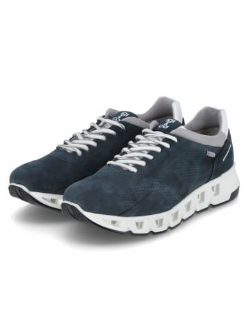 Igi&Co Low Sneaker in Blau