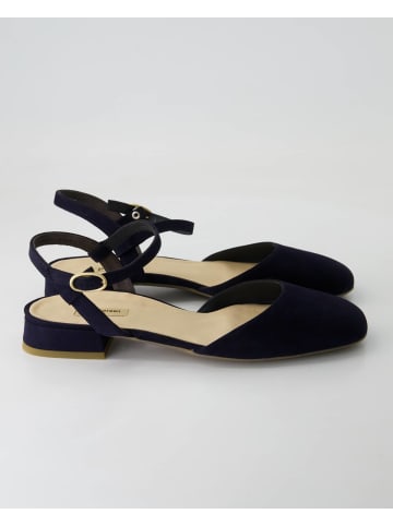 Paul Green Ballerinas in Blau