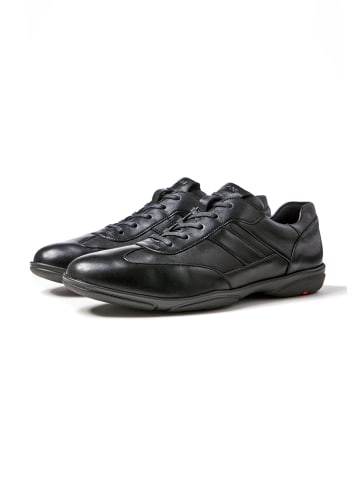 LLOYD Sneaker BREVIS in GRAPHIT
