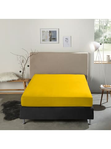 REDBEST Boxspring-Spannbettlaken Denver in gelb