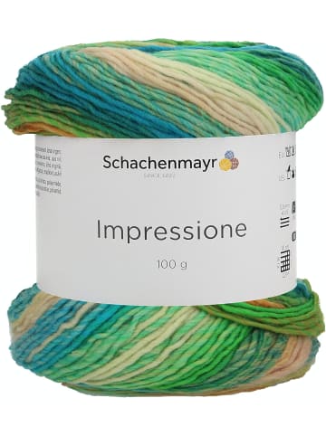 Schachenmayr since 1822 Handstrickgarne Impressione, 100g in Spirit color