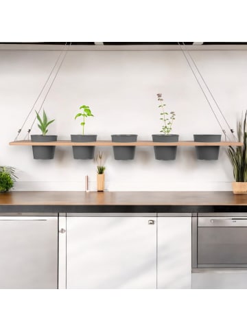 UNUS Kräuterregal, Pflanzenaufhänger in Grau