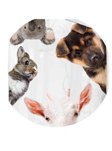 JACK 2 tlg. Renforcé Bettwäsche 135x200cm Fell Freunde in Weiß