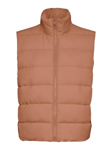 Noisy may Weste in beaver fur