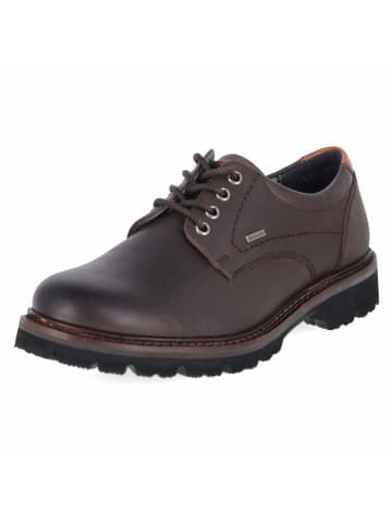 Sioux Schnürhalbschuh in brown