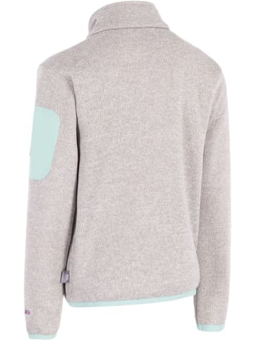 Trespass Kinder Fleecejacke/Fleecepullover in Grau