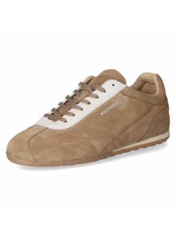 Bullboxer Low Sneaker in taupe