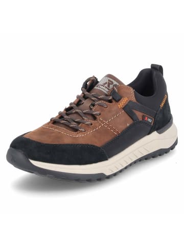 Low Sneaker in braun