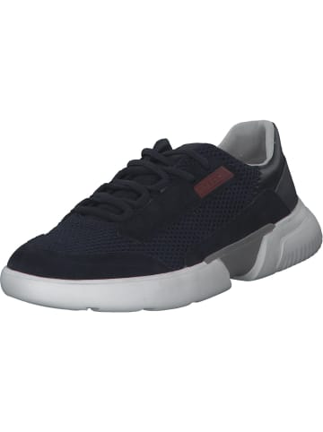 Geox Sneakers Low in Navy