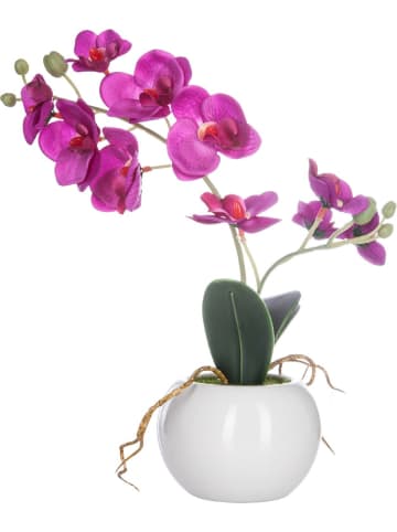 Atmosphera Créateur d'intérieur Künstliche Orchidee in rosa