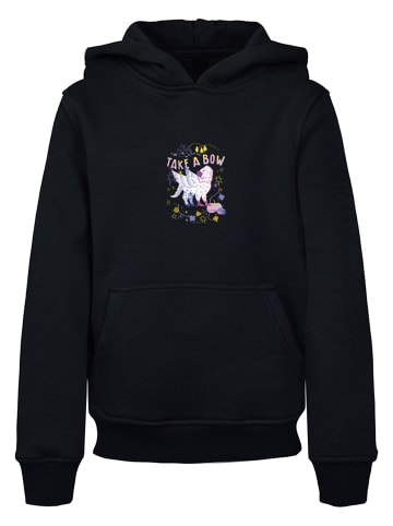 Absolute Cult Absolute Cult Kapuzenpullover in black