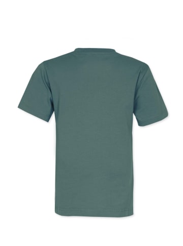 Band of Rascals T-Shirt " Basic " in cilantro-green