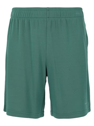 Endurance Shorts Sesto Jr. in 3159 Sea Pine