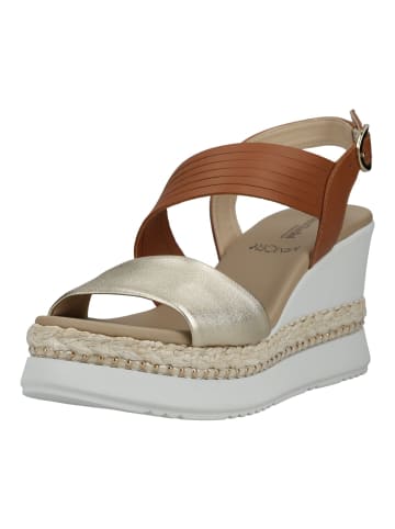 Nero Giardini Sandalen Braun/Gold