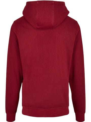 Absolute Cult Absolute Cult Kapuzenpullover in burgundy