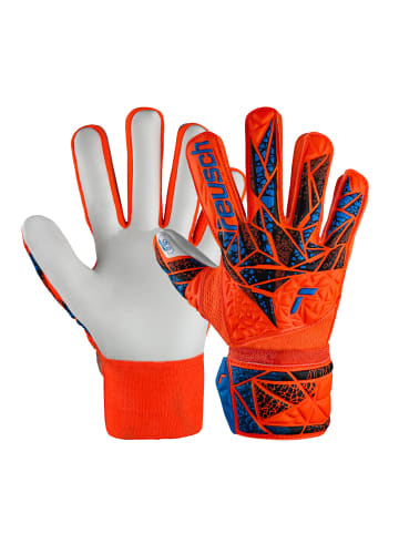 Reusch Torwarthandschuh Attrakt Starter Solid Junior in 2210 hyper orng/elec blue