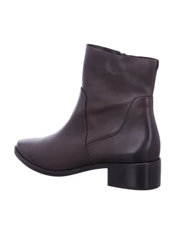 Paul Green Stiefeletten/Boot in braun