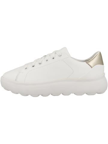 Geox Sneaker low D Spherica EC4.1 B in weiss