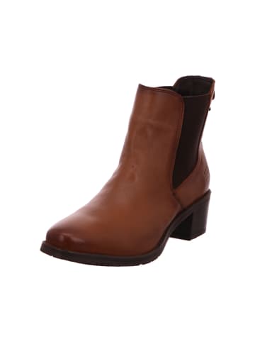 Bagatt Stiefel in braun