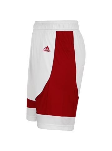 adidas Performance Trainingsshorts N3XT L3V3L Prime Game in rot / weiß