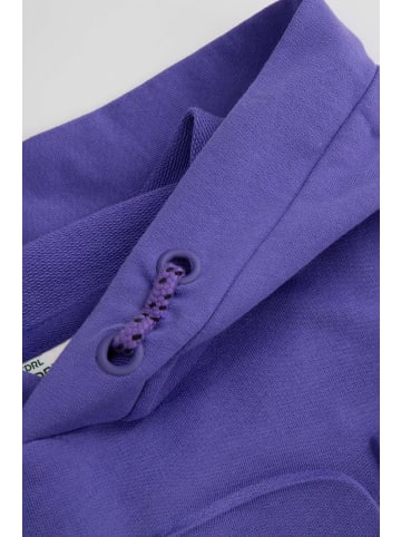 Coccodrillo Kapuzen-Sweatshirt in violett