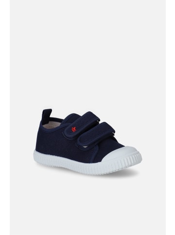 Coccodrillo Trainer in blau