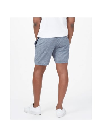 TENTREE Funktionsshorts Joshua in Rauchblau