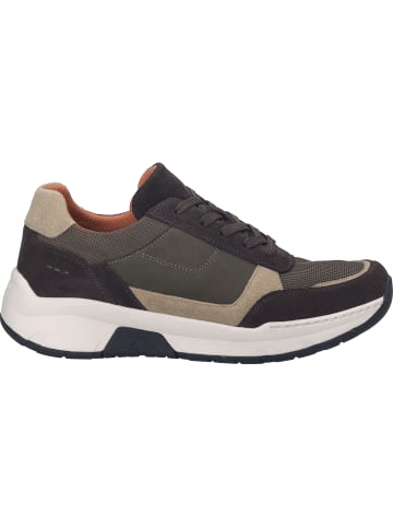 Josef Seibel Sneaker Mitchell 05 in braun