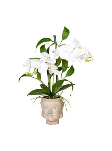 Creativ green Deko-Orchidee n-Bambus Arrangement in weiß