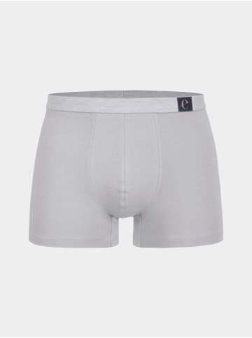 Erlich Textil  Erlich Textil Boxershort GUSTAV in steingrau