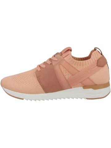 Caprice Sneaker low 9-23711-28 in rosa