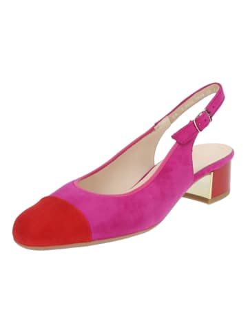 ara Pumps in Rot/Pink