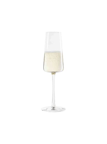 Stölzle 6er Set Champagnergläser Power in Transparent 240 ml in transparent