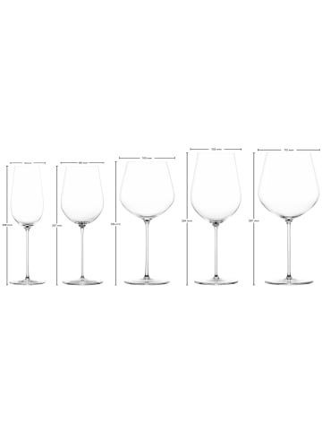 Zwiesel Glas 10er Set Wein- und Champagnergläserset VUELO in transparent