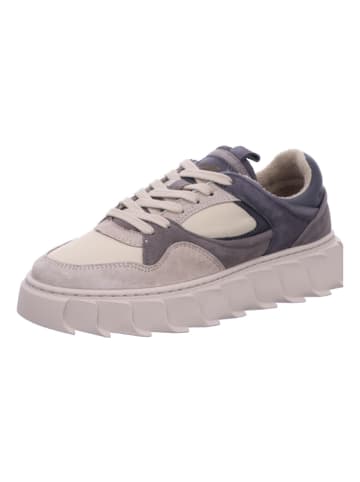 Apple of Eden Schnürschuh LIMA in TAUPE/GREY