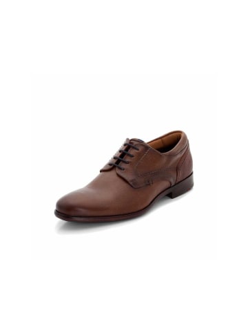 LLOYD Business Schuhe für Herren in braun in braun