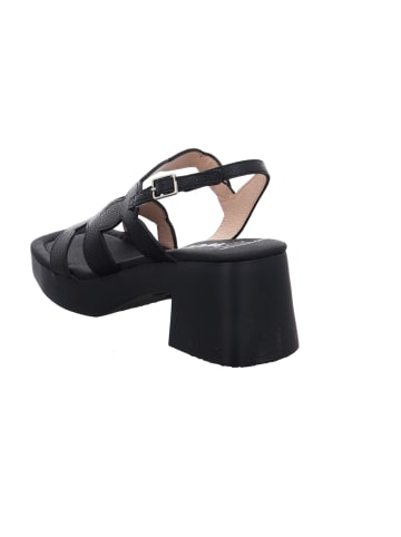 Wonders  Sandalen in Schwarz