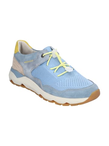 Josef Seibel Sneaker Jonah 03 in skyblue-multi