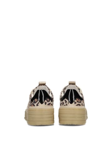 POELMAN Poelman ANEMONE Damen Sneaker