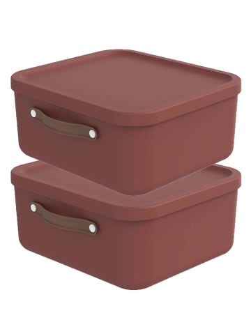 Rotho 2er-Set Kiste mit Deckel Maloja 20l in Iron rot