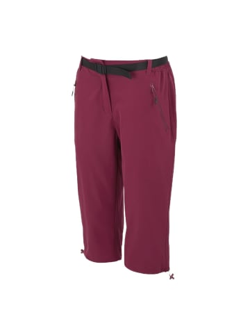 Regatta 3/4 Capri Hose in Beere