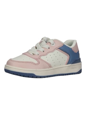 Geox Sneaker in Rosa/Hellblau