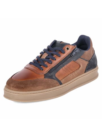 Bullboxer Low Sneaker in braun