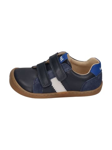 KOEL Sneaker Low DENIS NAPA NEW 3.0 in blau