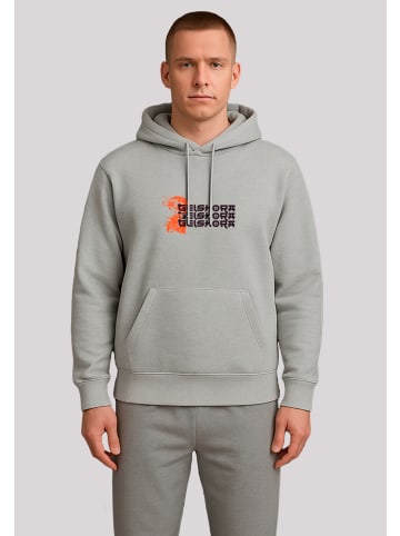 F4NT4STIC Hoodie Geishora Japan Streetstyle in grau meliert