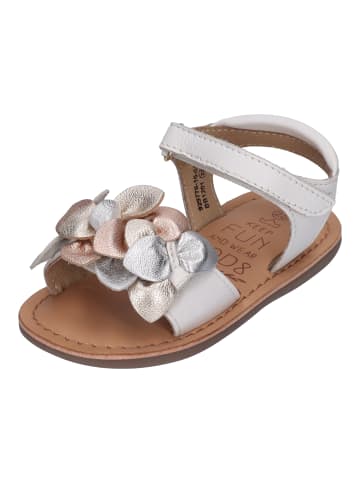 Kickers Sandalen CLOKNOT  in bunt