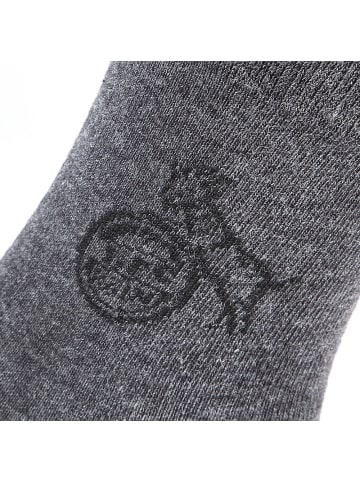 Fußballverein 1. FC Köln Socke "Businesssocke Anthrazit 2er Pack" in Grau